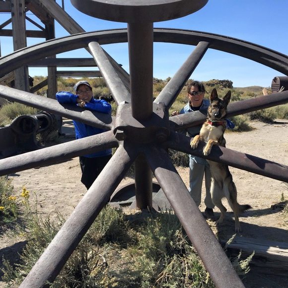 Meet your Posher, Fawn - Picture 1 of 1